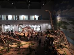 -自贡恐龙博物馆