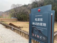 -延安杨家岭革命旧址