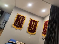 -歌曼丽草本减重