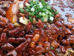 -青城甲(青城山店)