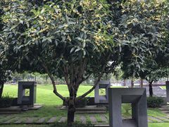 -西南政法大学(渝北校区)