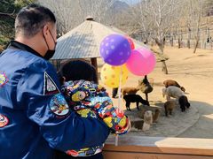 -大连森林动物园