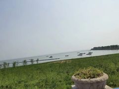 -合肥滨湖国家森林公园