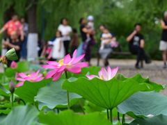 -丰台科技园生态主题公园