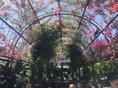 -The Grounds of Alexandria
