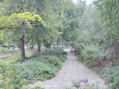-菖蒲河公园