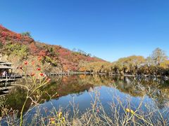 -九如山休闲旅游度假区