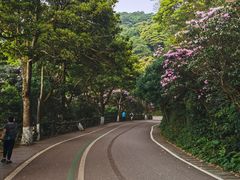 -梧桐山风景名胜区
