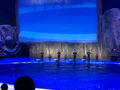 -华夏文旅海洋公园