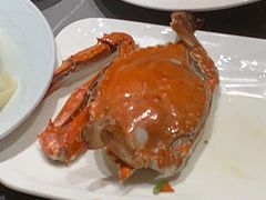 -神洲四海大酒楼(王府井澳门中心店)