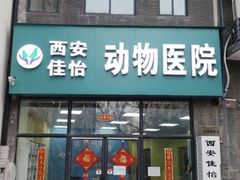 -佳怡动物医院·平价24小时·猫专科骨外科