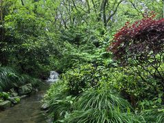 -解香楼(八盘岭路店)