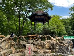 -本溪汤沟绿石谷森林公园