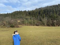 -武陵山森林公园