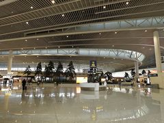 -青岛胶东国际机场