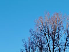 -蟠龙山长城景区