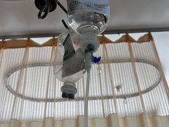 -辽宁省人民医院