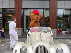 -上海德威外籍人员子女学校(浦东校区)