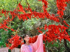 -鸡鸣山旅游景区