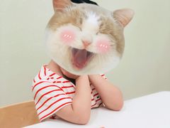 -培飞思维启蒙·益智游戏·科学探索(城西银泰店)