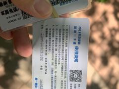 -朝阳公园游乐园