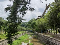 -红山村