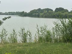 -苏州太湖国家湿地公园