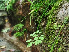 -宁波五龙潭景区