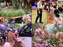 -正佳雨林生态植物园