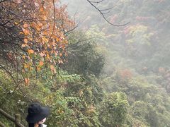 -太平万花山景区