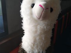 -九府羊·鲜羊火锅·烤串(新华路店)