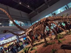 -自贡恐龙博物馆