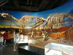 -海尔巴格·新疆菜(吐鲁番店)