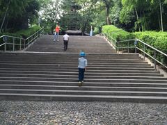 -上海佘山国家森林公园西佘山园