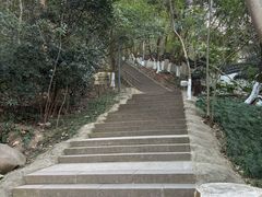 -赭山公园