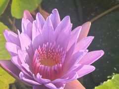 -秦记香辣蟹(松榆里店)