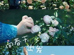 -人民公园(罗湖区)