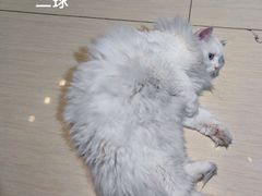 -小时光咖啡馆(开森度假森林店)