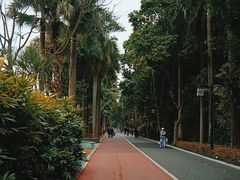 -南宁南湖公园
