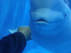 -多彩贵州城极地海洋世界