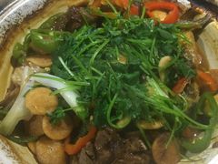 -青叶202都市餐厅(迪诺水镇店)