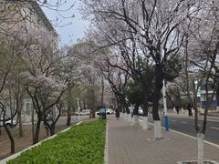 -吉林大学(南岭校区)