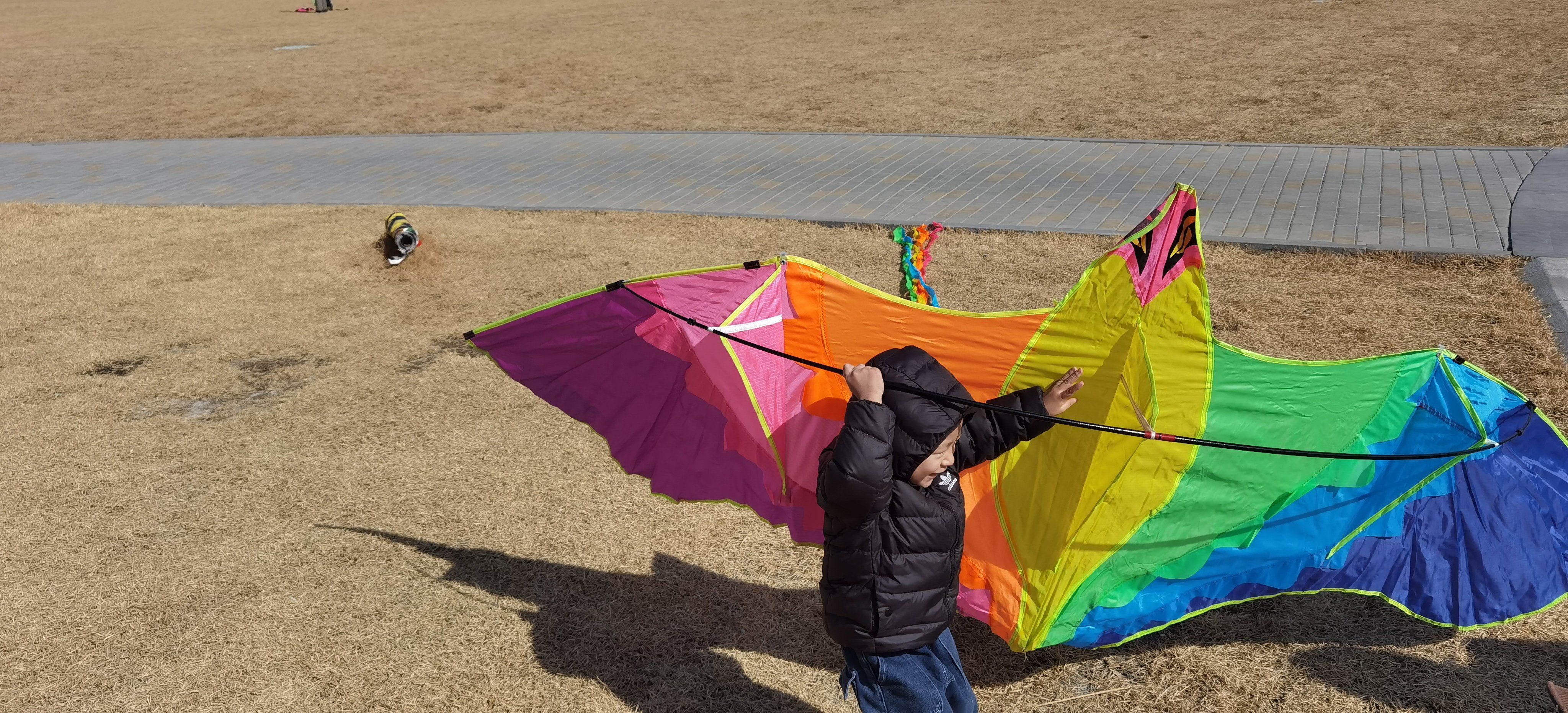 彩虹风筝飞满天