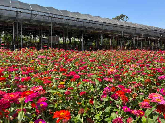 流溪湾丰华园-"门票价格太高,35块不值.水质不是很好.