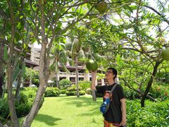 -三亚亚龙湾天域度假酒店