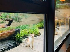 景观位-新荣记(西溪湿地店)