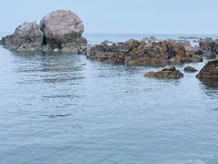 -养马岛旅游度假区