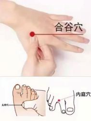 -香薇妮丝·定制减肥·身材管理