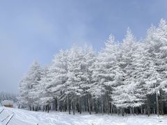 -密苑云顶乐园(云顶滑雪场)