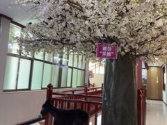 -驴百味(赵县店)